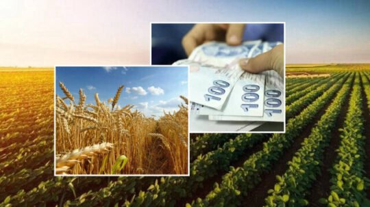 Bakan Yumaklı: TARSİM kapsamında 9 milyar 200 milyon lira devlet desteği sağladık Bakan Yumaklı: TARSİM kapsamında 9 milyar 200 milyon lira devlet desteği sağladık YASAL UYARI: BIST isim ve