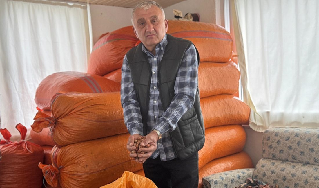 Fındık üreticisi fiyatın artmasını bekliyor; ürünler evde tutuluyor Türkiye ve dünya fındık