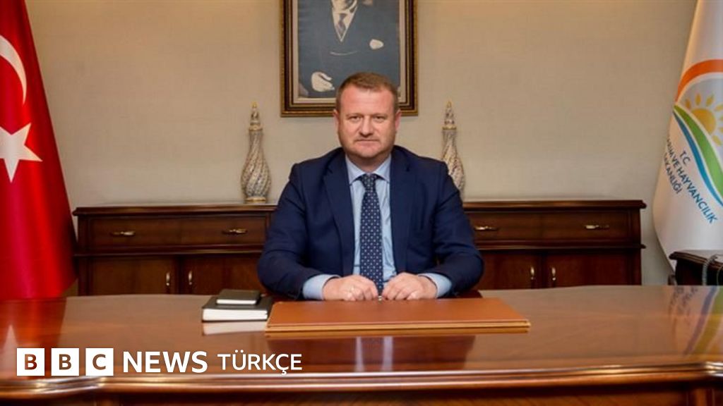 RTÜK’ün yeni başkanı Mehmet Daniş oldu Radyo ve Televizyon Üst